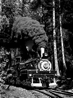 NW Steam Preservation; RR's, Events & Misc.